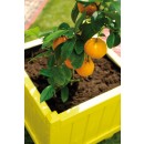 Bac à fleurs en bois carré 23 L Vendôme 40 CERLAND