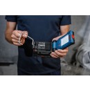 GLI_18V-800_Application_Det04_0013-1_T1 (11).jpg BOSCH