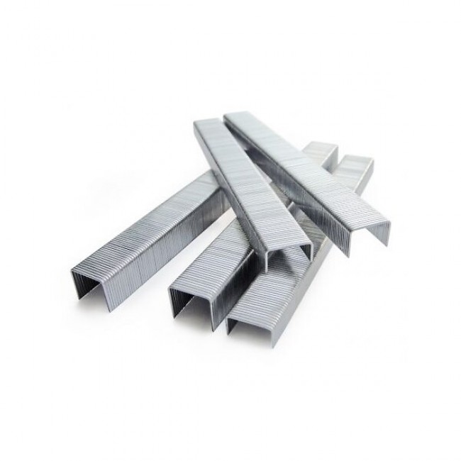 Agrafes galvanisées type 80 - Bricozor 1.jpg ARCA-SCAB