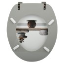 20210507153001-44ae81db-cu_e520.jpg MSV