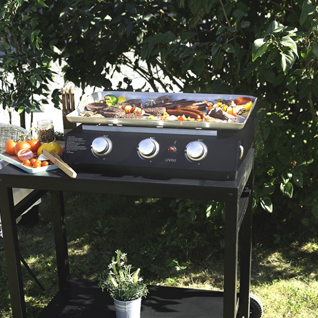 Plancha gaz - à poser - 3 brûleurs - Bricozor 6.jpeg LIVOO