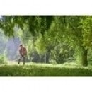 RY36ELTX33A-0--App_5.jpeg RYOBI