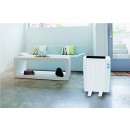 41SR88GU+IL.jpg HAVERLAND