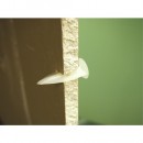 I345094_2.jpg PRUNIER