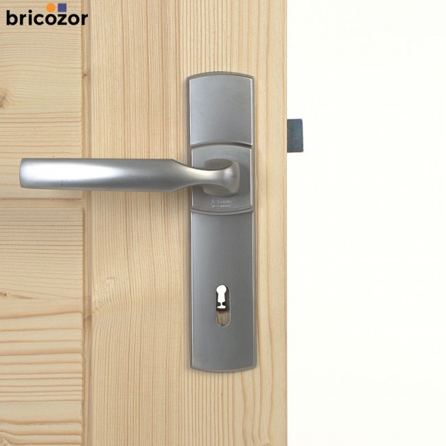 2023_05_31_VACHETTE_ARTIS_CHROME_VELOURS_4_00004_BRICOZOR.jpg VACHETTE