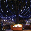 pm_11812_443_443770-xb2xf4fn9h-whr.jpg FESTILIGHT