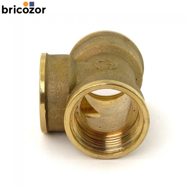 67ed4e655601c.jpg BRICOZOR