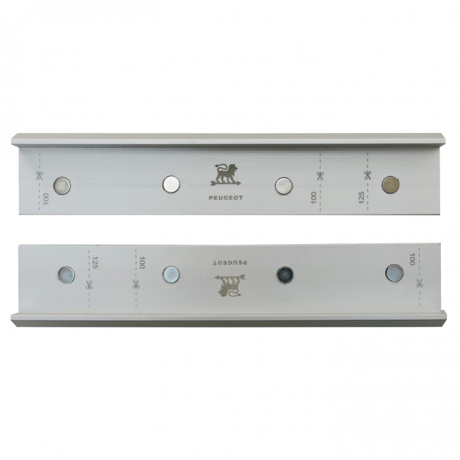 PEU-100712-4.jpeg PEUGEOT