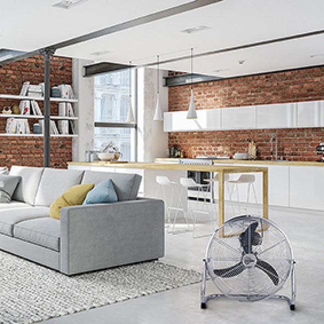 112052-3-dt-10.jpeg FARELEK