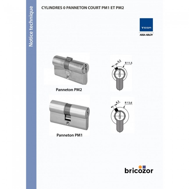 cylindre-double-te-5-varie-a-panneton-court-pm1-tesa-securite.jpg ABUS