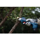 GGP_12V-25_application_005.jpg BOSCH