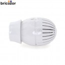 1_A1_Z70455_00000.jpg GIACOMINI