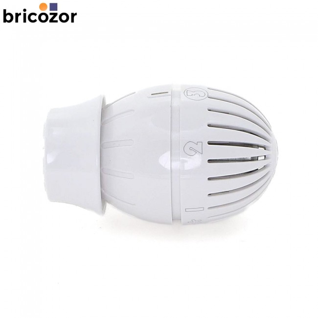 1_A1_Z70455_00000.jpg GIACOMINI