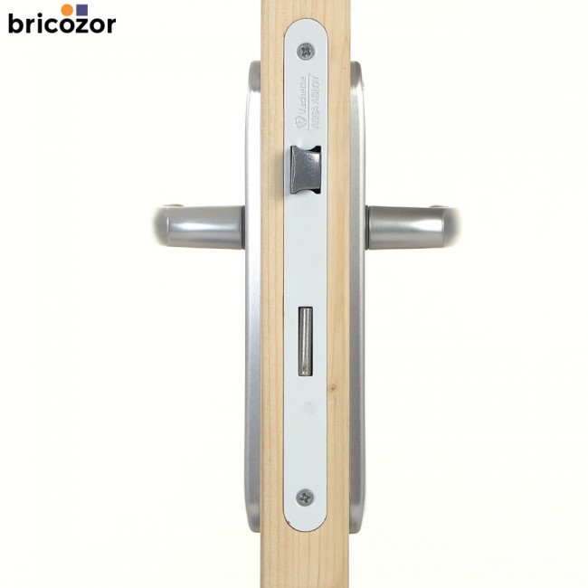 37_2023_06_08_VACHETTE_BUDGET_ALUMINIUM_ARGENT_689206_00002_BRICOZOR.jpg VACHETTE