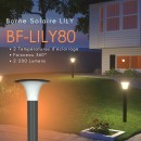 450594482_500463452376187_8651791435985749142_n.jpg BF LIGHT