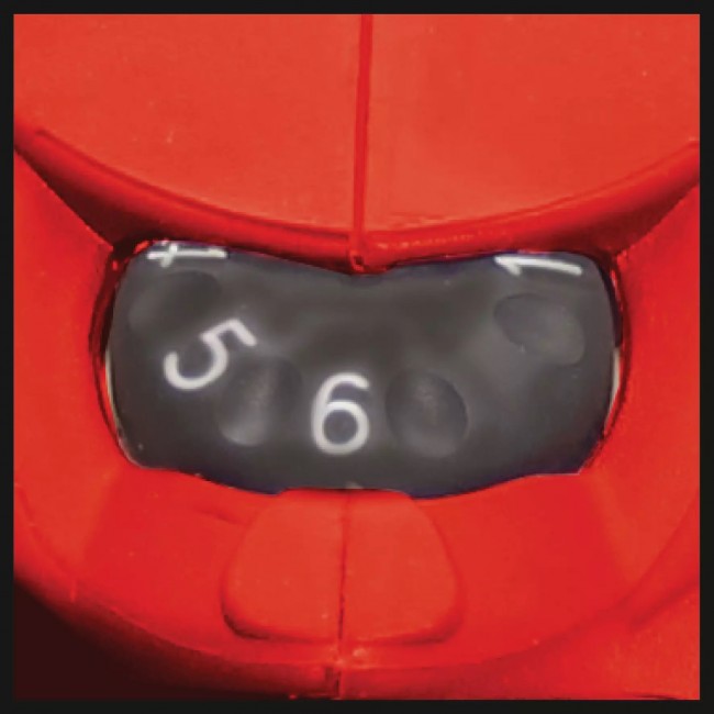 Ponceuse à bande 850 W RT-BS 75 3.jpeg EINHELL