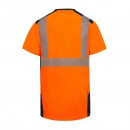 pm_11812_679_679245-1e3ywnyavm-whr.jpg T2S