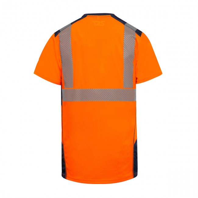 pm_11812_679_679245-1e3ywnyavm-whr.jpg T2S