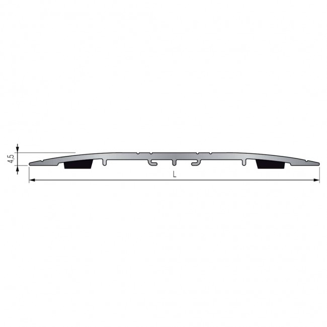 100schema.jpeg DINAC