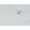 pm_11812_502_502167-gjafe49usl-whr.jpg THEBEN