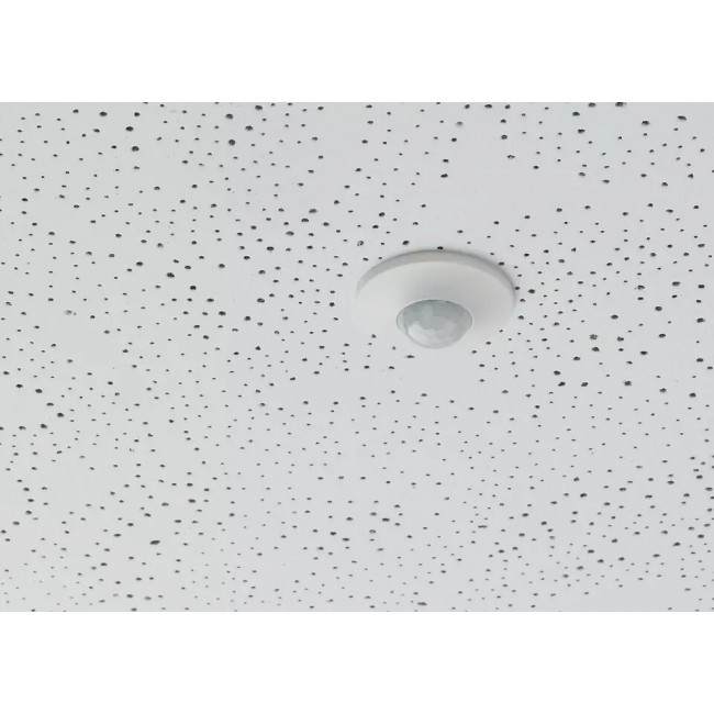 pm_11812_502_502167-gjafe49usl-whr.jpg THEBEN