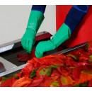 H624NT-uso.jpeg JUBA