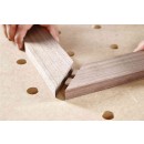 Domino - 493300 2.jpeg FESTOOL