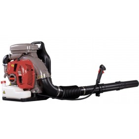 Souffleur thermique 3000W - CEB-800 CAMPEON