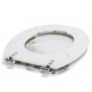 20210713125643-33a8fedd-cu_e520.jpeg MSV