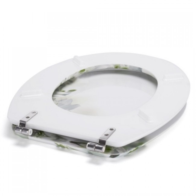 20210713125643-33a8fedd-cu_e520.jpeg MSV