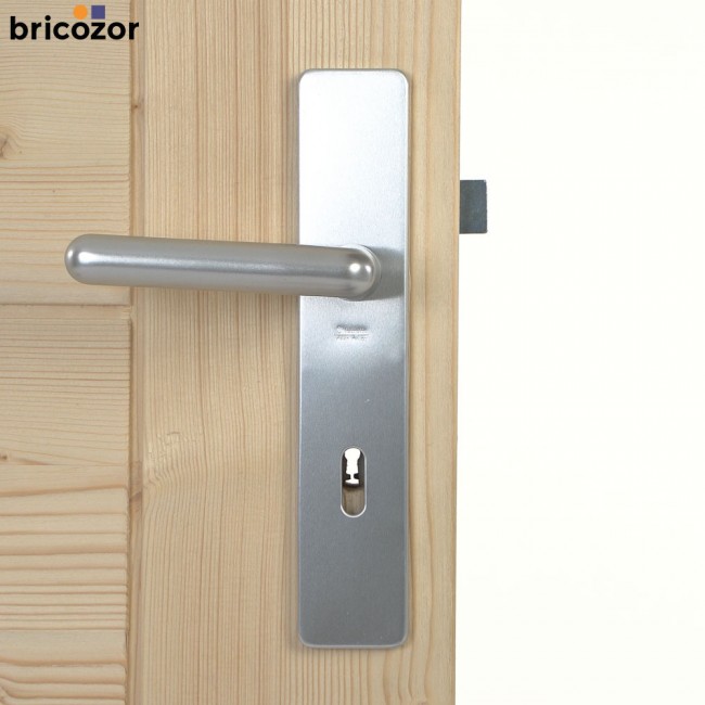 44_2023_06_07_VACHETTE_GOLF_ALUMINIIUM_ARGENT_348977_00004_BRICOZOR.jpg VACHETTE