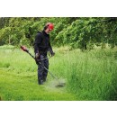 Débroussailleuse sans fil pro - GP-BC 36:430 Li BL-Solo - Power X-Change - Bricozor 3.jpeg EINHELL