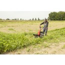 _MG_4873bassa.jpg EUROSYSTEMS