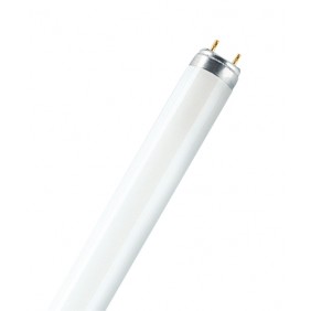 Tube fluorescent 26 mm Lumilux T8 G13 OSRAM