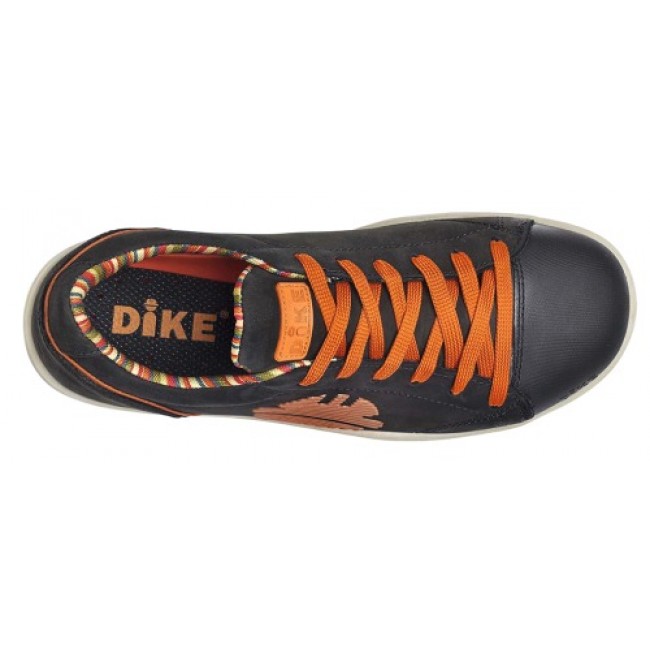 604171-2.jpg DIKE