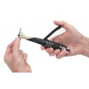 606131-3.jpg THÉARD