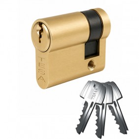 Demi cylindre - 30 x 10 mm - TE 5 - s'entrouvrant - laiton poli TESA Sécurité