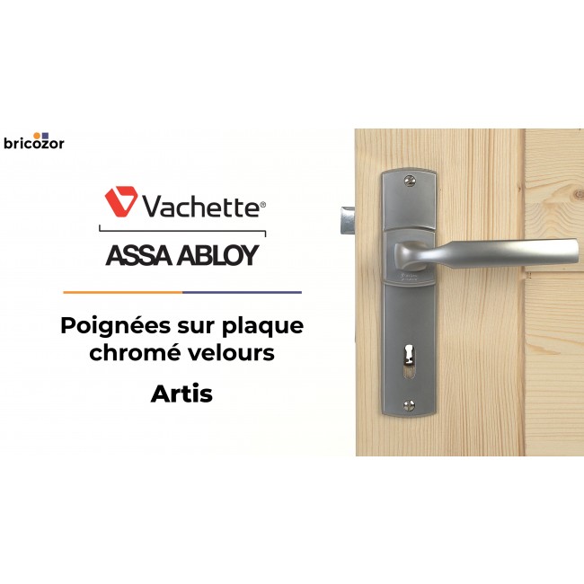 04_2023_05_31_VACHETTE_ARTIS_CHROME_VELOURS_4_BRICOZOR.jpg VACHETTE