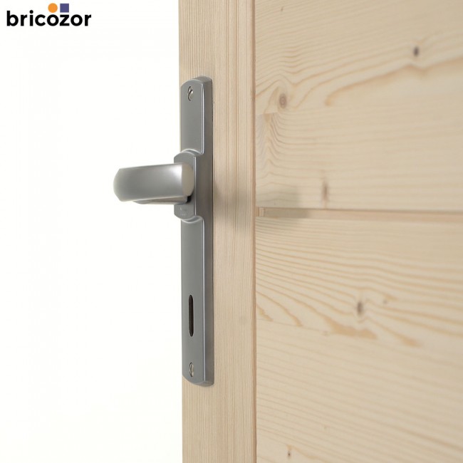 2023_05_31_VACHETTE_ARTIS_CHROME_VELOURS_4_00006_BRICOZOR.jpg VACHETTE