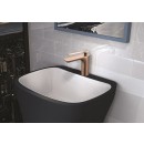 pm_11812_193_193915-9rfur7yvfb-whr.jpg PAINI