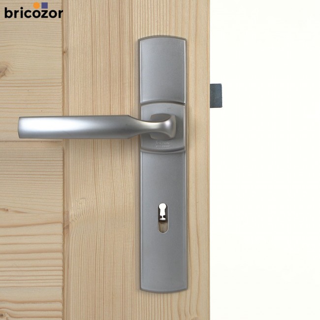 2023_06_02_VACHETTE_ARTIS_CHROME_VELOURS_29_00004_BRICOZOR.jpg VACHETTE