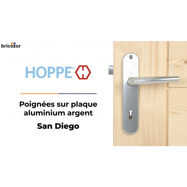 HOPPE_SANDIEGO_ARGENT_18_BRICOZOR.jpg HOPPE