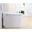 TopToilet Sapphire 2 - Copie.jpg TopToilet