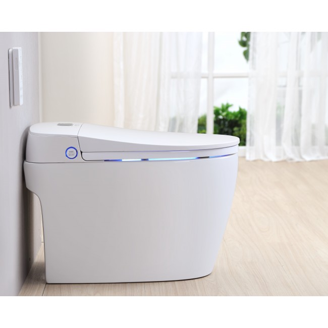 TopToilet Sapphire 2 - Copie.jpg TopToilet