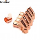 3_F5_732342_00187.jpg BRICOZOR