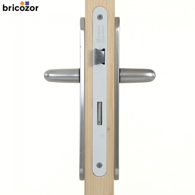 45_2023_06_07_VACHETTE_GOLF2_ALUMINIUM_ARGENT_570667_00002_BRICOZOR.jpg VACHETTE