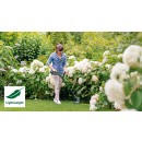 Coupe-bordures sans fil 18V-230 - EasyGrassCut - Bricozor 4.jpeg BOSCH