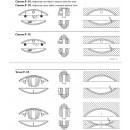 61LG3hgDZTL._AC_SL1024_.jpg LAMELLO