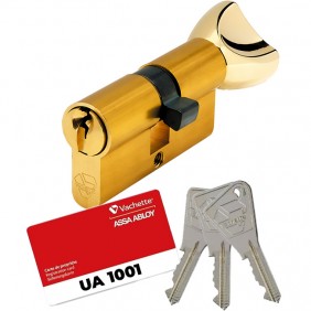 Cylindre V5 3110 à bouton s'entrouvrant sur variure UA 1001 - laiton poli VACHETTE