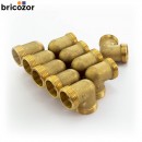 4_A7_732685_00282.jpg BRICOZOR